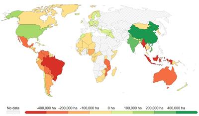 Understanding the socio-economic causes of deforestation: a global perspective